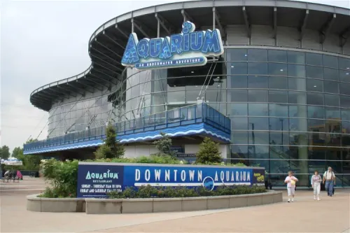 denveraquarium stock